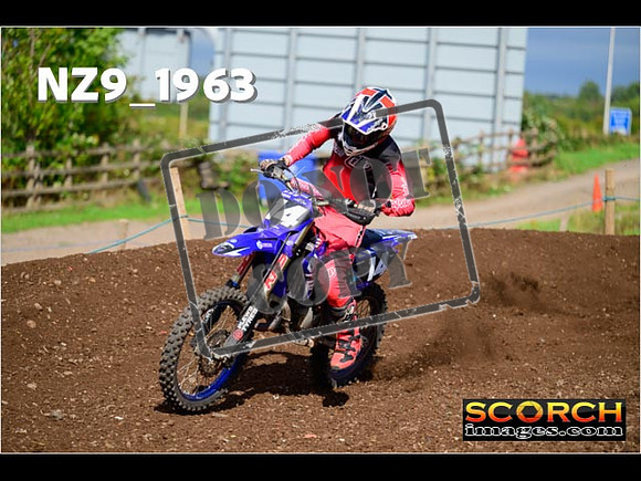 Experts-302
