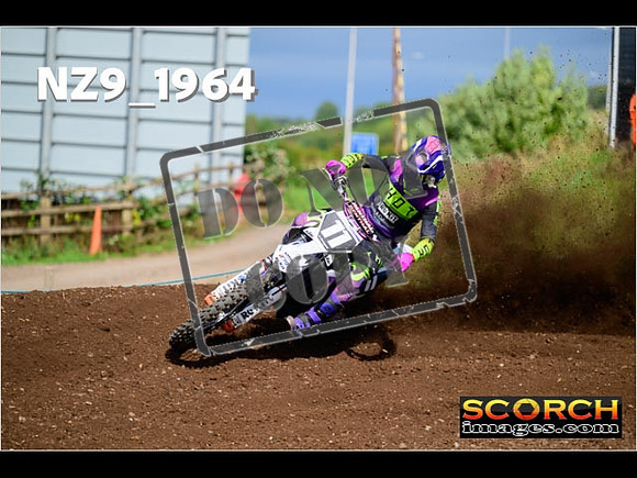 Experts-303