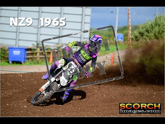 Experts-304