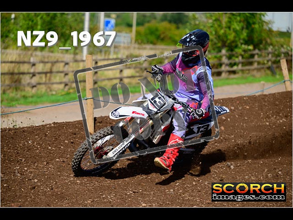Experts-306