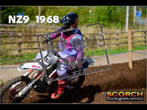 Experts-307