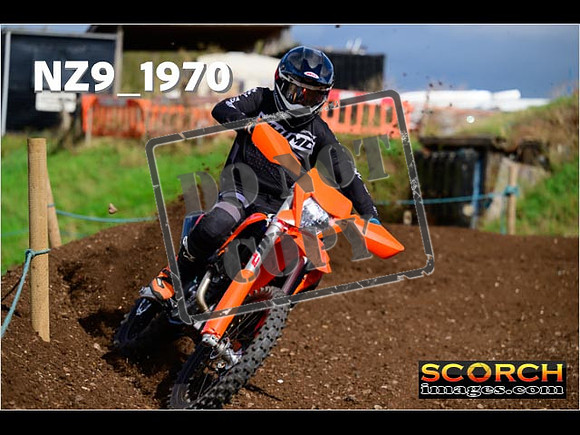 Experts-309