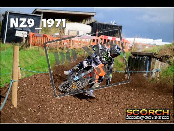 Experts-310