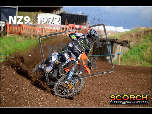 Experts-311