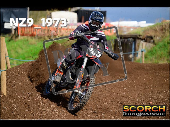 Experts-312