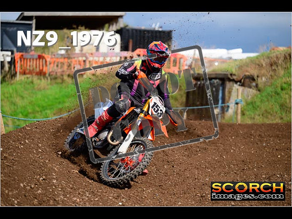 Experts-315