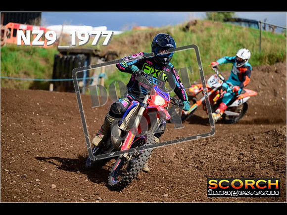Experts-316