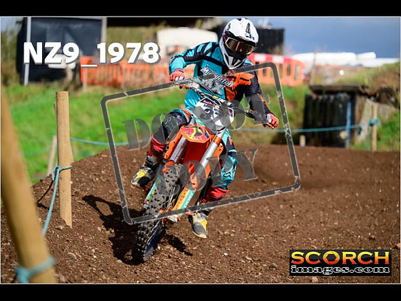 Experts-317