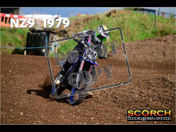 Experts-318