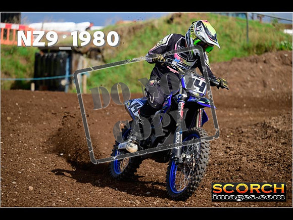 Experts-319