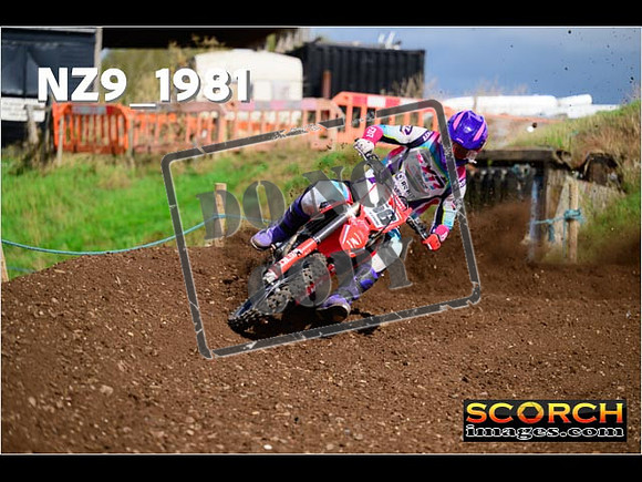 Experts-320