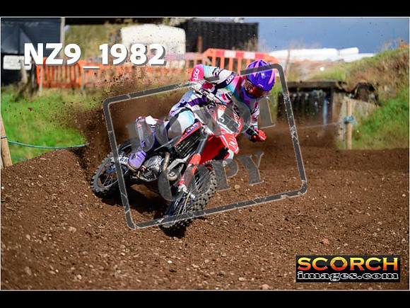 Experts-321