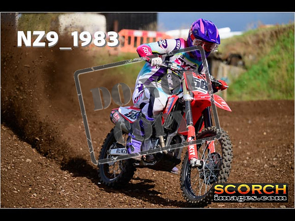 Experts-322