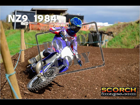 Experts-323