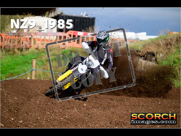 Experts-324