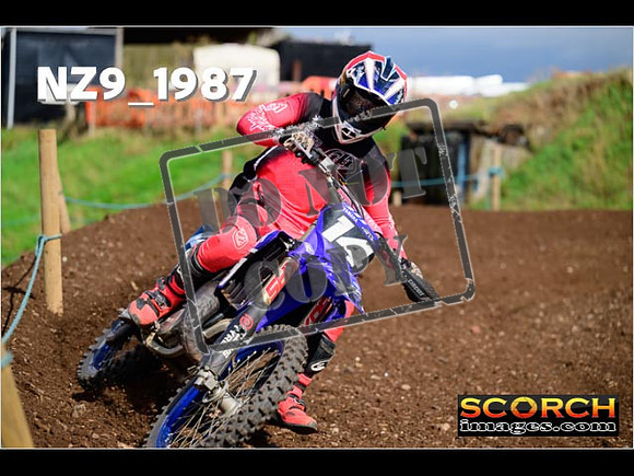 Experts-326