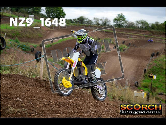 Inters-191