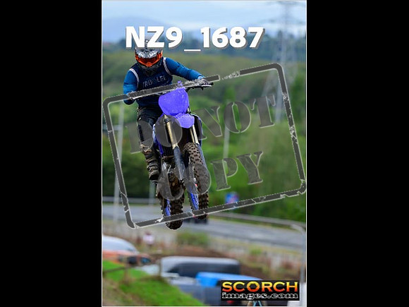 Inters-230