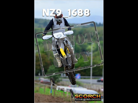 Inters-231