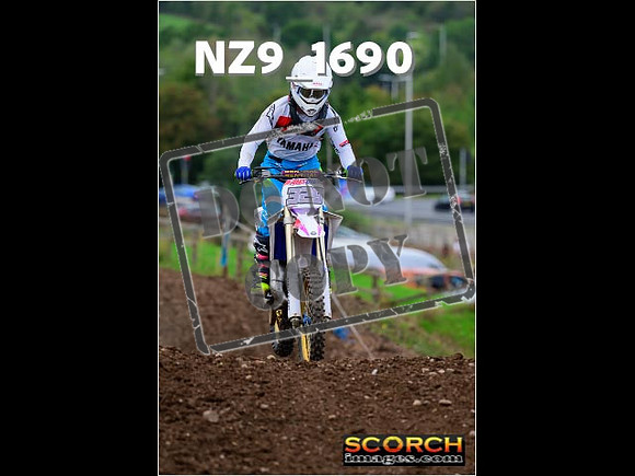 Inters-233