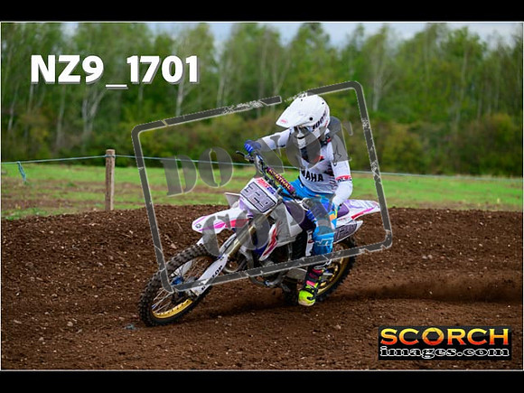 Inters-244