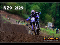 Experts-016