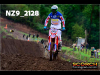 Experts-015
