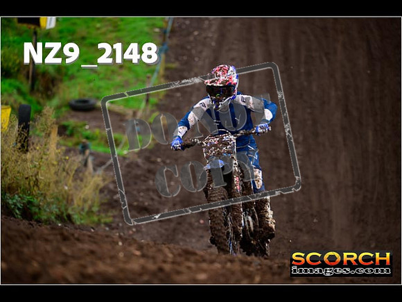 Experts-035