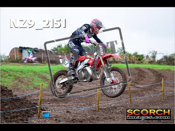 Experts-038