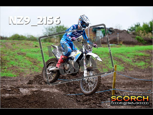 Experts-043