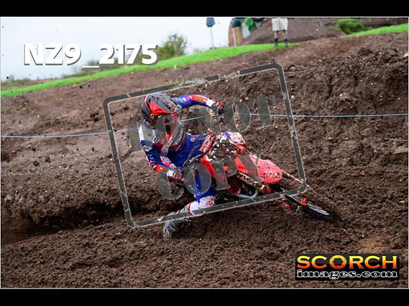 Experts-060