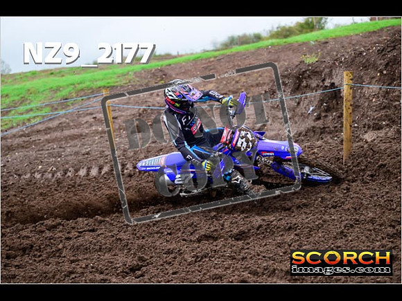 Experts-062
