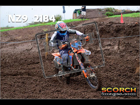 Experts-069