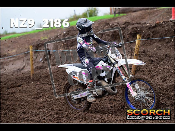 Experts-071