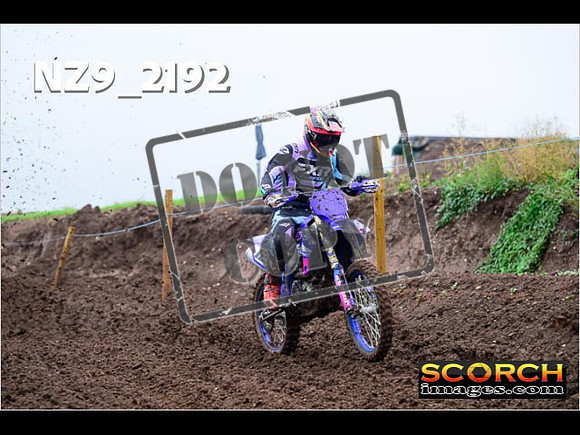 Experts-077