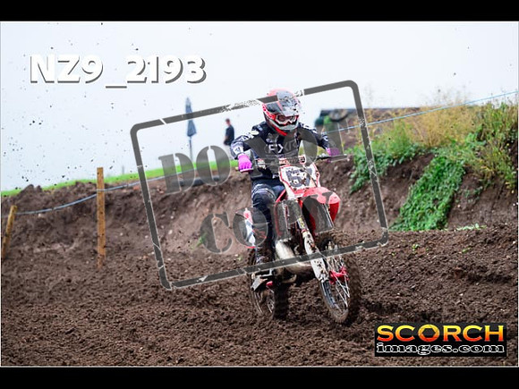 Experts-078