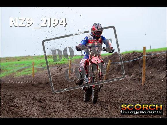 Experts-079