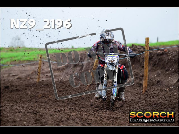Experts-081