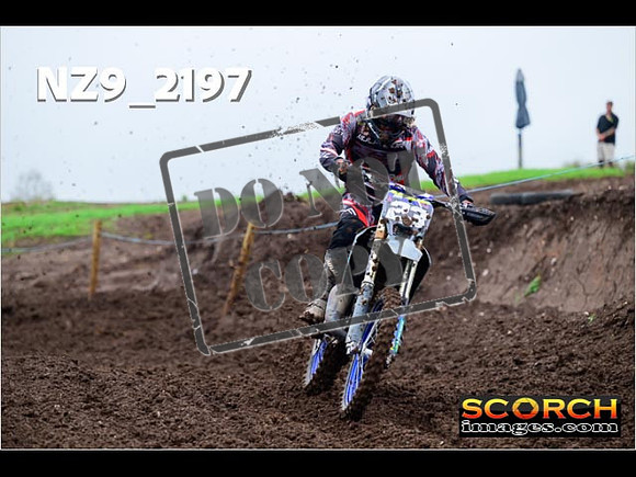 Experts-082