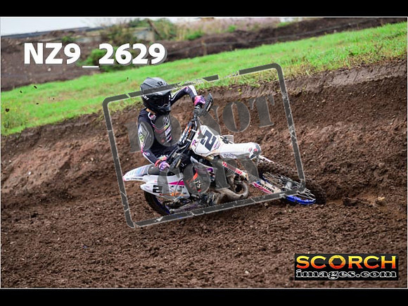 Experts-103