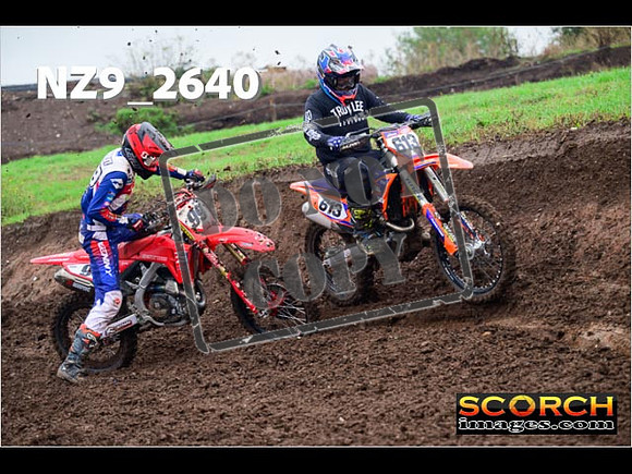 Experts-114