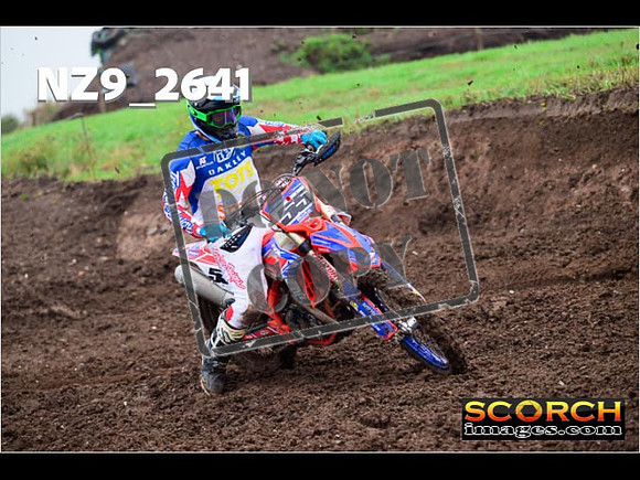 Experts-115