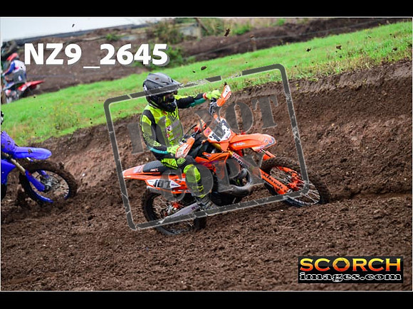 Experts-119
