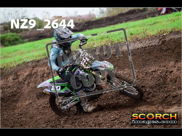 Experts-118