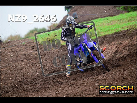 Experts-120