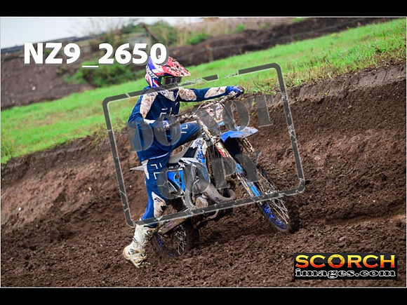 Experts-124