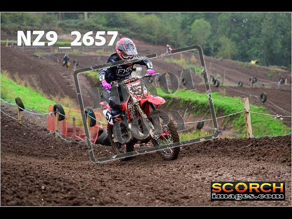 Experts-131