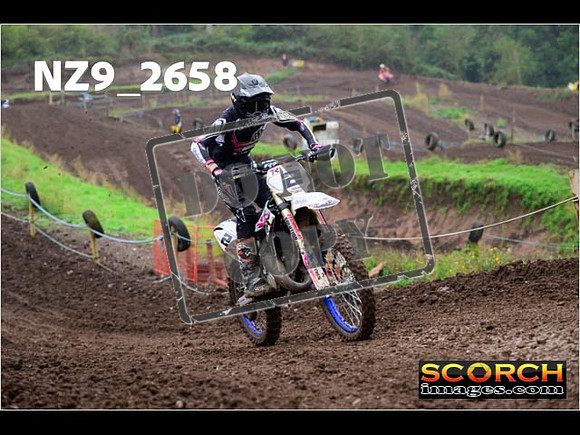 Experts-132