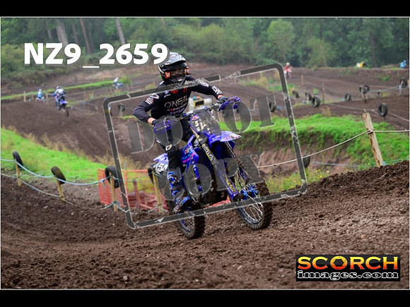 Experts-133