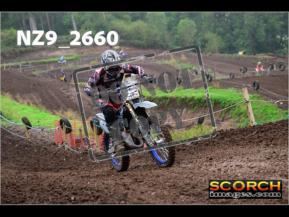 Experts-134